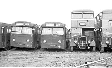 The Transport Library Northern General Leyland 1575 DCN 875 88 DCN875