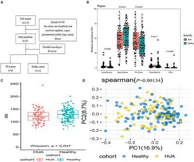 Frontiers Structural And Functional Alterations Of Gut Microbiota In