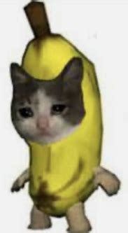 banana cat Blank Template - Imgflip