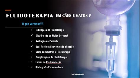 Fluidoterapia em Cães e Gatos YouTube