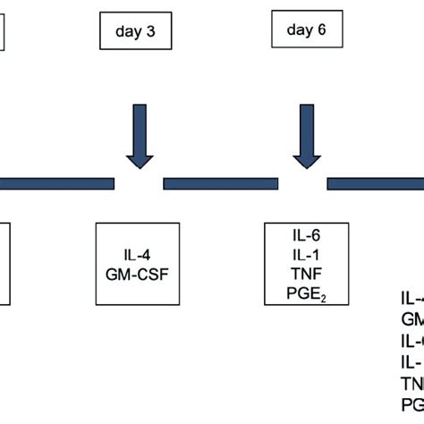 Protocol For Culturing Ews Cell Lines A And Sbsr Aks In Vitro Using