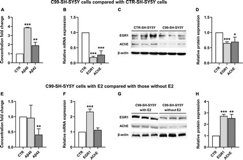 Sex Differences In Hippocampal Amyloid Accumulation In The Triple