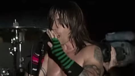 Lollapalooza Shares Red Hot Chili Pepper S Performance