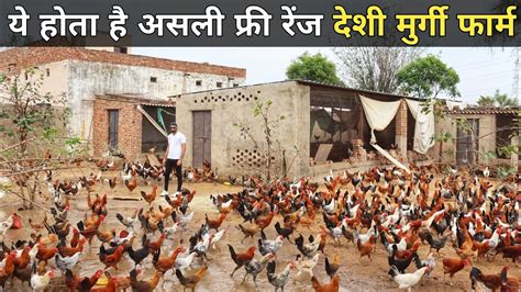 ऐसा Free Range Desi Poultry Farm देखकर मज़ा आ जाएगा Desi Poultry