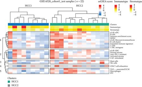 Validation Of Immune Subtype Classification Of Cohort Patients A