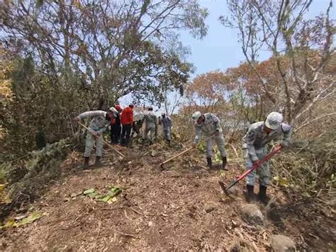 A Os Veracruz Ya Duplic Incendios Forestales De Ltimos Dos A Os