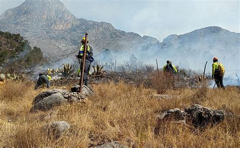 Suman 6 Mil 450 Hectáreas Afectadas Por Incendios Forestales En Nuevo León