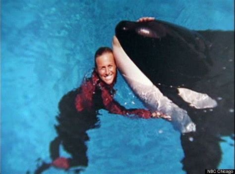 Dawn Brancheau: Killed SeaWorld Trainer's Family Seeks To Quash Video ...