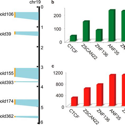 Overview Of KRAB ZFP Genes And Their Potential Regulatory Genes In