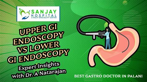 Upper Gi Endoscopy Vs Lower Gi Endoscopy Dr A Natarajan Best