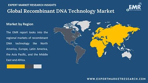 Recombinant Dna Technology Market Size Analysis