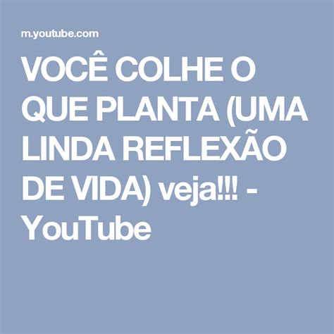 VOCÊ COLHE O QUE PLANTA UMA LINDA REFLEXÃO DE VIDA veja YouTube