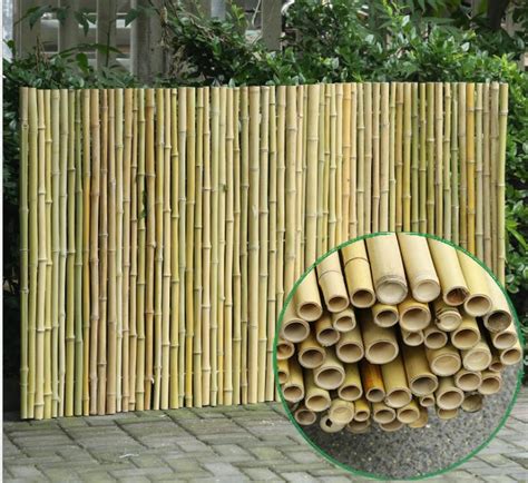 Natural Bamboo Fence