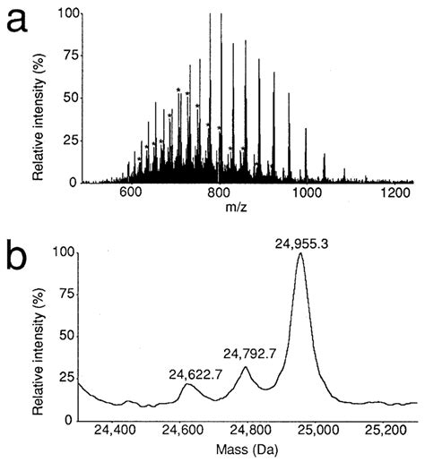 Electrospray Mass Spectra Of Yeast TRNA Phe Obtained By LC MS Yeast