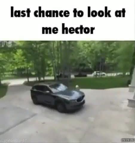 Last Chance To Look At Me Hector Youtube