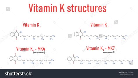 Chemical Structure Vitamin K1 K2 Menachinon4 Stock Vector Royalty Free