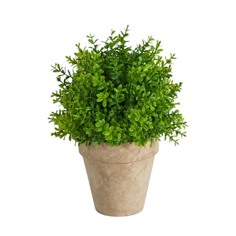 8” Boxwood Artificial Plant in Decorative Planter - Shopic
