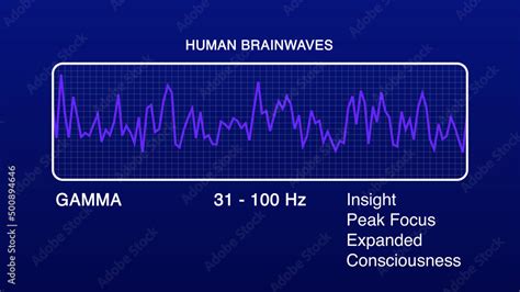 Gamma Human Brain Waves Diagram Illustration Stock Illustration | Adobe ...