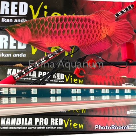 Jual Lampu Kandila Pro Red View 400 Lampu View Red Arwana 8 Watt Led