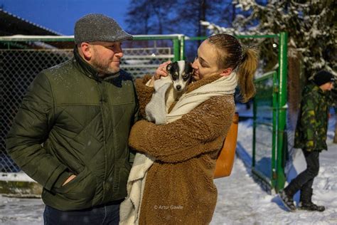 Tarnowski Azyl Dla Zwierząt przeżył oblężenie Mnóstwo ludzi z Tarnowa