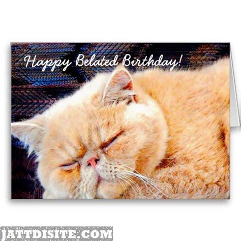 Belated Birthday Wishes Cat