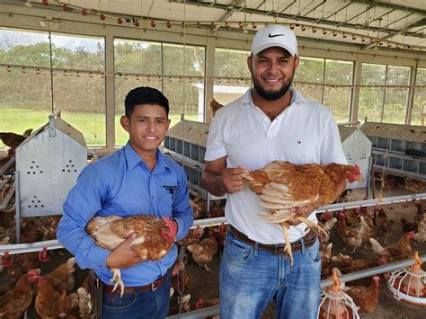 La Sag Senasa Brinda Asistencia T Cnica En Granja Av Cola De La Unag