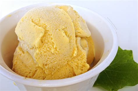 Homemade French Vanilla Ice Cream Nutrition You Can Trust