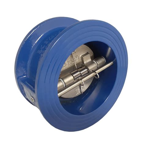 China 10 Inch Check Valve Manufacturers Suppliers 10 Inch Check Valve