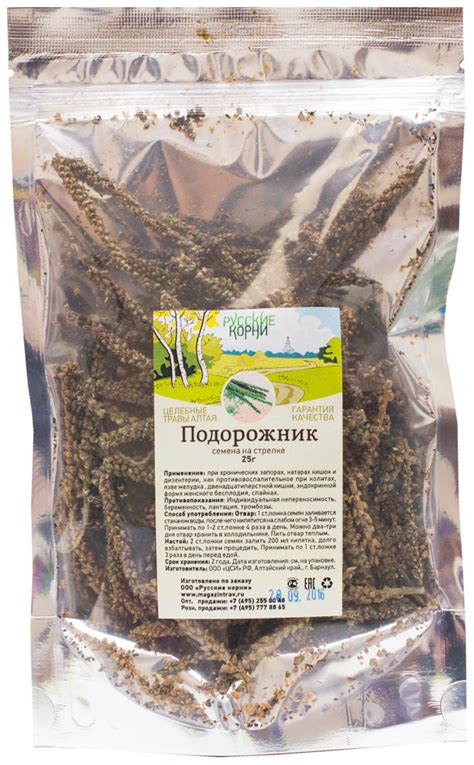 Подорожник семена на стрелке - купить по низкой цене в фито-аптеке ...