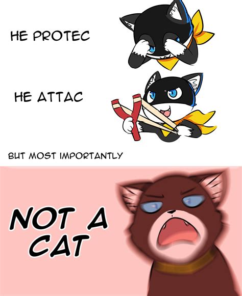 I Am Morgana He Protec But He Also Attac Persona 5 Memes Persona