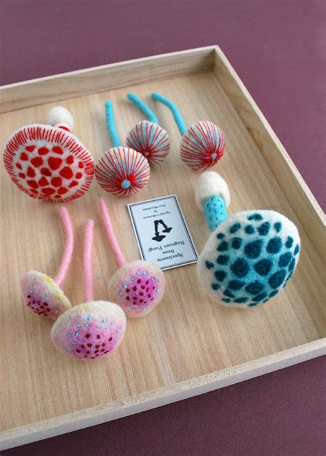 Needle Felted Mushrooms On Behance