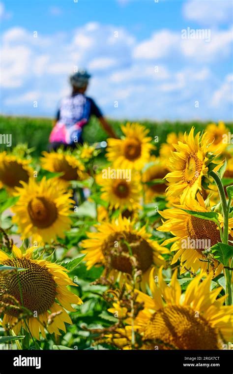 Nice Senior Woman Cycling With Her Electric Mountain Bike In A Blooming