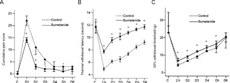 Figure 1 From Analgesic Effect Of Intrathecal Bumetanide Is Accompanied