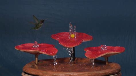 Tabletop Hummingbird Bath Fountain at Steven Pinnix blog