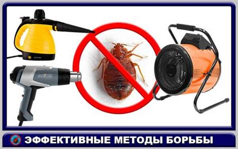 Можно ли избавиться от клопов парогенератором и пароочистителем ...