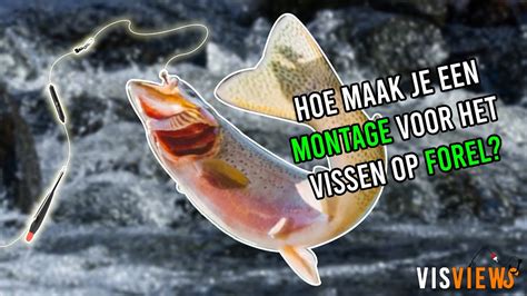 Vissen Op Forel Met Dobber Montage Tutorial YouTube