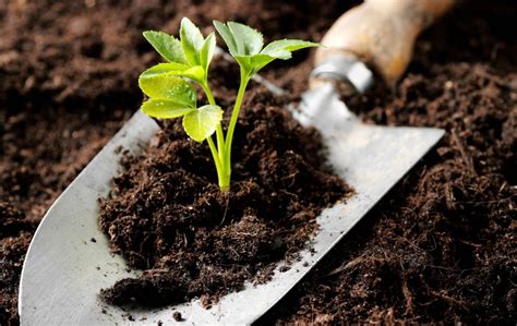 Переваги органічного добрива | GREEN-RICH