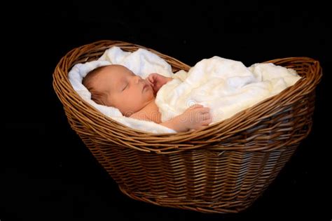 New Born Baby Sleeping In A Wooden Basket Stock Photo Image