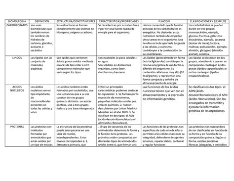 Evidencia Ii Cuadro Comparativo Sobre Bioelementos Y Biomoleculas 6637