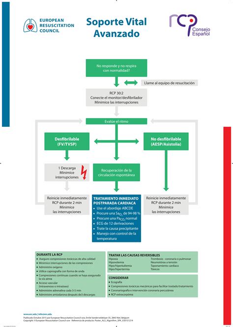 Pdf European Soporte Vital Resuscitation Soporte Vital Avanzado