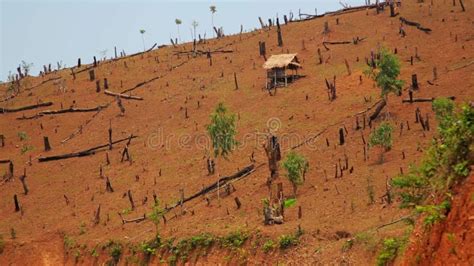 Deforestation Laos Cutting Rainforest Naked Earth Stock Footage