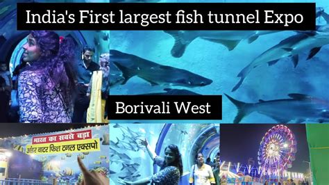 India S First Largest Under Water Fish Tunnel Expo Now In Mumbai