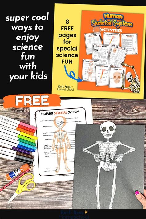 Human Skeletal System Activities 5 Cool Ways Free Printables Artofit