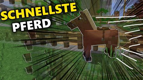 Das Schnellste Pferd In Minecraft MineGott Net YouTube