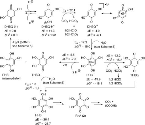 Mechanism Of The Reaction Between DHBQ And ClO2 Cf Scheme 3 From