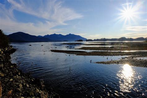 Barry Bond's Taco: Rays on the Beaches of Alaska