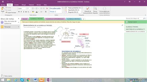 Medicina Lo Mejor UTILIDAD DE ONENOTE