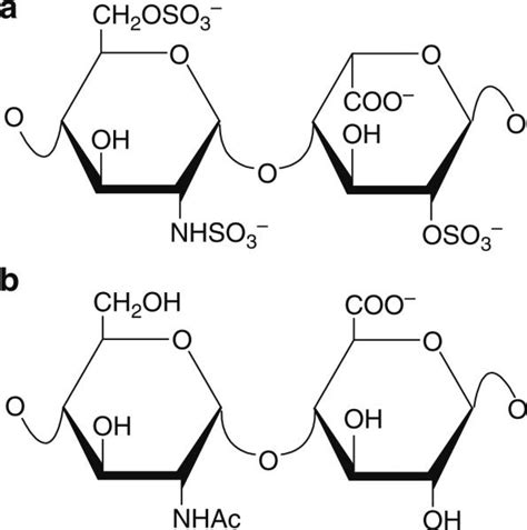 heparin  heparan sulfate analyzing structure  microheterogeneity