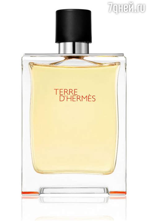 Как правильно выбрать парфюм для мужчины - 7Дней.ру