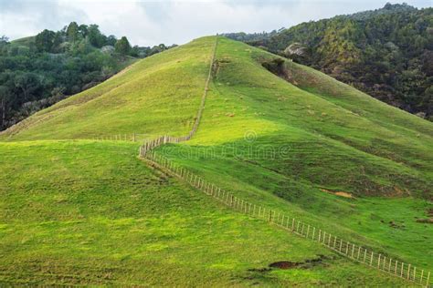 New Zealand Hills Stock Image Image Of Beautiful Green 188054491